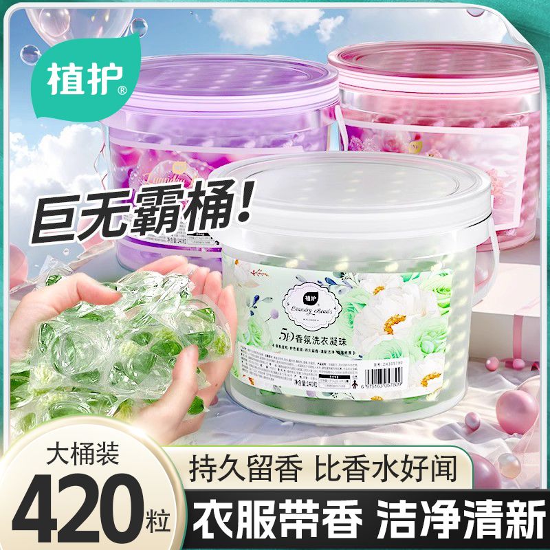 植护洗衣凝珠去渍持久留香氛洗衣液留香珠巨无霸大桶装山茶花家用 洗衣凝珠 【月殿山茶】140粒-1大桶装