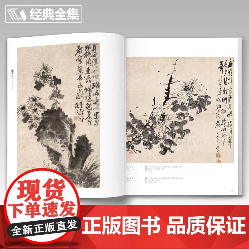 徐渭画集 8开中国画临摹画册书籍写意泼墨水墨国画杂花图花鸟技法教材程高清临本册页 初学者花卉名作赏析鉴赏杨经典全集 建飞高清大图