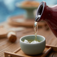 古越龙山 贵梅酒果酒 500ml