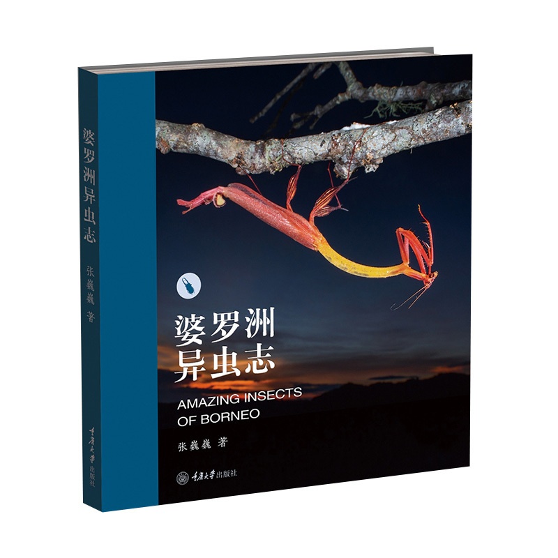 [醉染正版]婆罗洲异虫志 婆罗洲昆虫照片 图鉴类昆虫书籍 博物学动物学昆虫学自然知识科普读物 重庆大学出版社高清大图