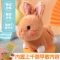 棕色 遥控充电款[手提袋] 唱歌跳舞学说话的兔子复读玩偶儿童电动毛绒玩具智能早教安抚宝宝