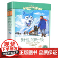 野性的呼唤小学语文阅读丛书注音版一二年级寒假暑假国学经典早教幼儿启蒙书带拼音