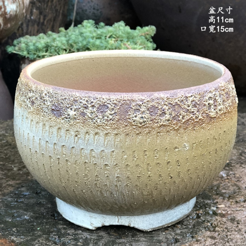 手工粗陶大口多肉花盆老庄多肉群生盆紫砂陶罐陶瓷植物花卉盆视频