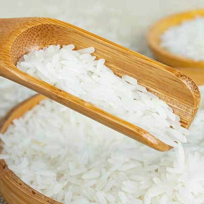 亚象泰国香米5kg