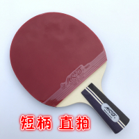 银河乒乓球拍01b01d成品拍入门级单拍双面反胶儿童学生乒乓拍|Super-1D直拍送拍套一个三星球