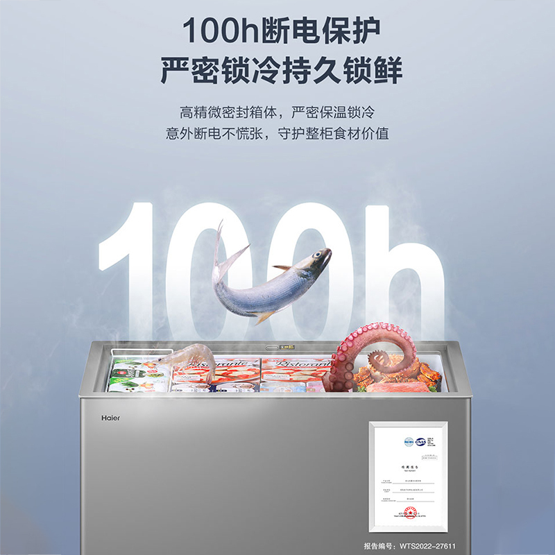 海尔(Haier)369升 家用 商用 卧式冰柜 冷柜 冷冻柜 减霜80% BC/BD-369GHPT