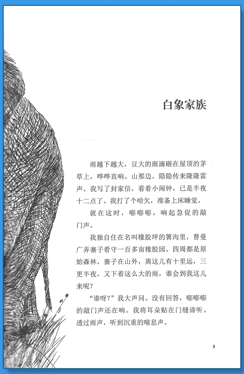白象家族 [正版]白象家族沈石溪小学四年级五年级全集全套书浙江少年儿童出版社非注音版完整版动物小说大王品藏书系小学生课外高清大图