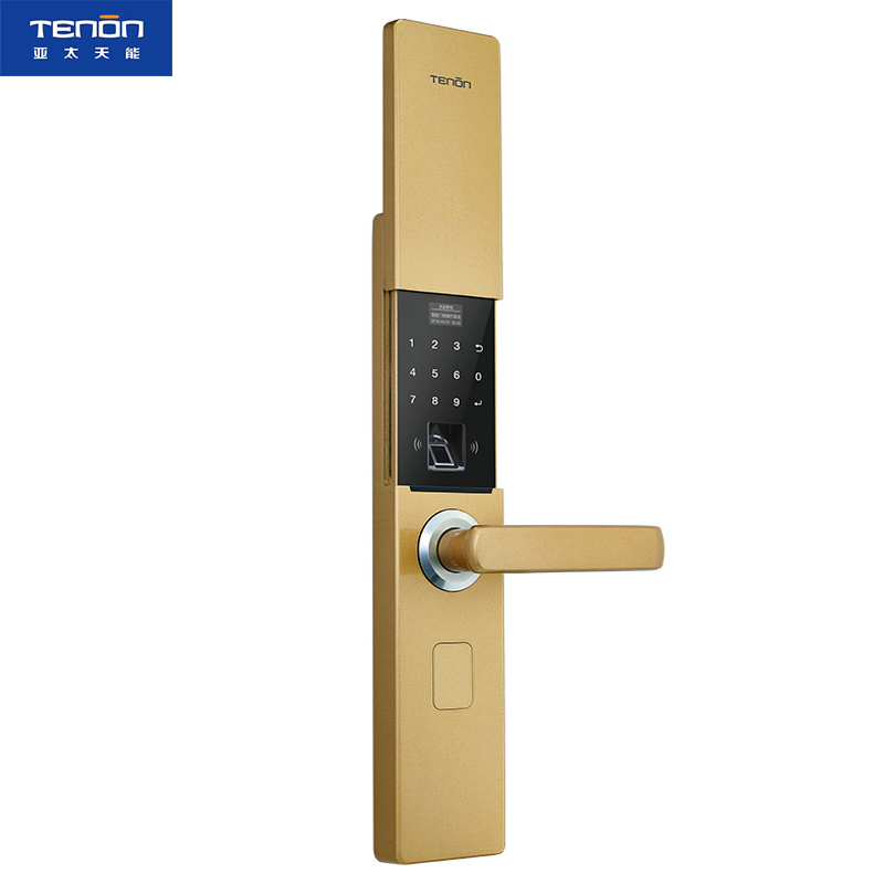 亚太天能(TENON)智能指纹锁 锌合金家用指纹密码锁电子门锁 T21e 香槟金