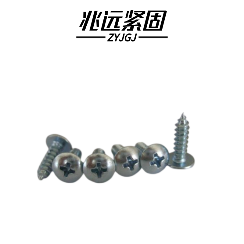 兆远紧固 大扁头自攻螺钉(个)(6*20)高清大图