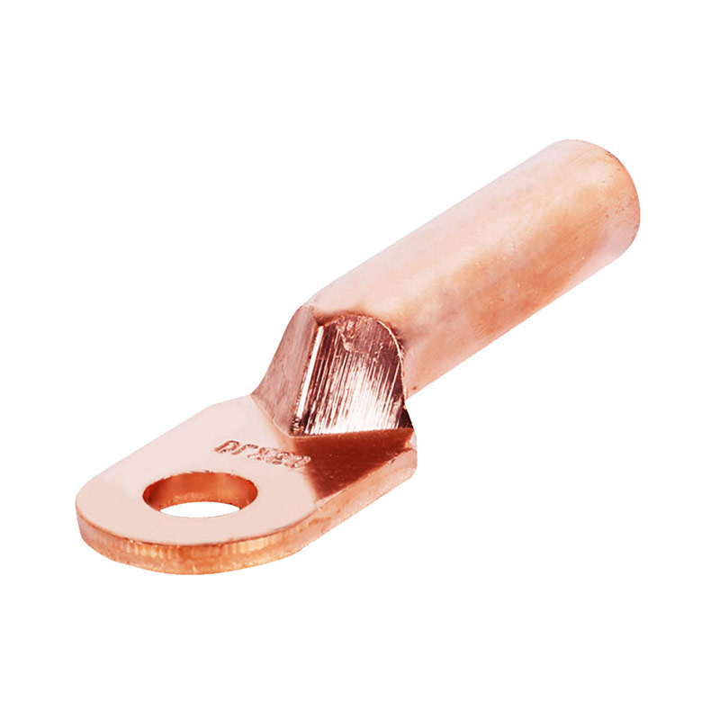 ABLEMEN 铜鼻子DT 铜接线端子 纯紫铜闭口线耳铜鼻子 整包出售 DT-10mm2 (1包20只)
