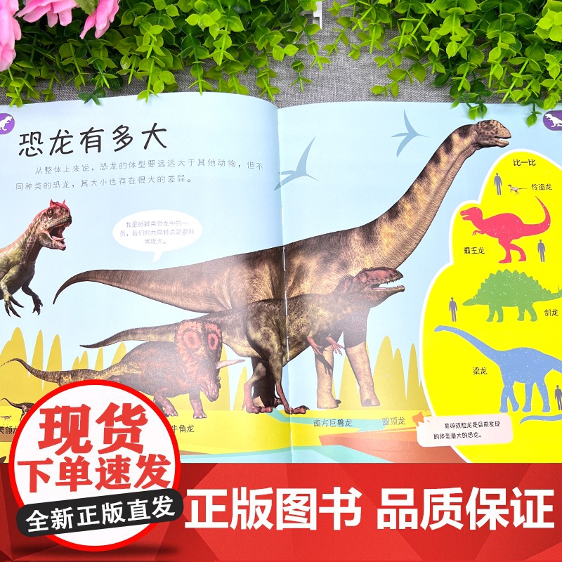 正版童书 恐龙那些重要的事 扫码发音精装大开本中小学课外百科丛书 儿童恐龙百科趣味探索恐龙绘本书籍 3-6-9-10-1高清大图