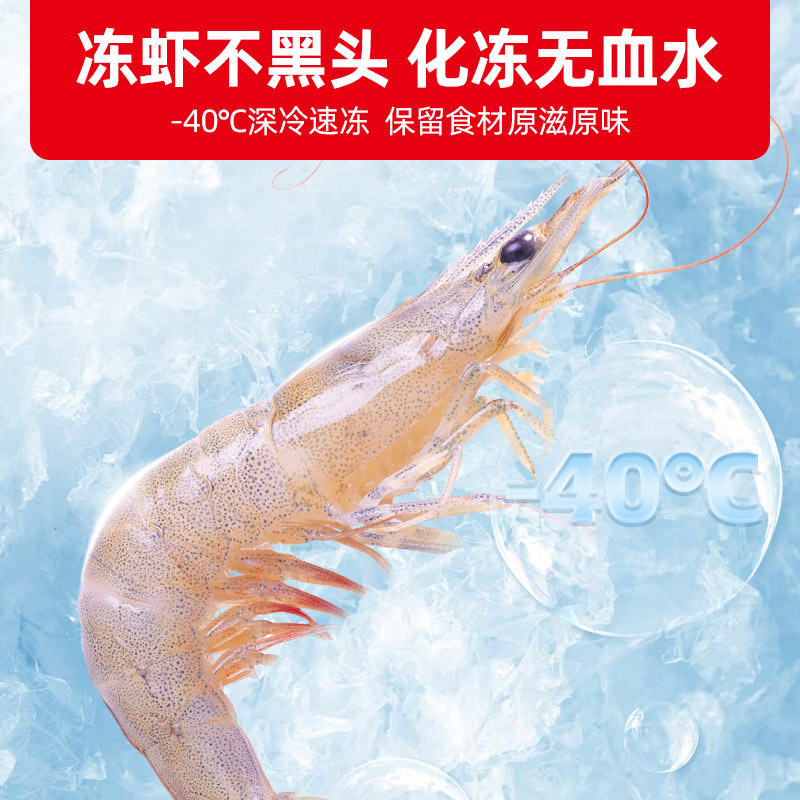 星星(XINGX)286升零下40℃超低温深冷柜商用冰柜卧式全冷藏全冷冻生鲜柜风冷无霜保鲜柜 BD/BC-286WDV高清大图