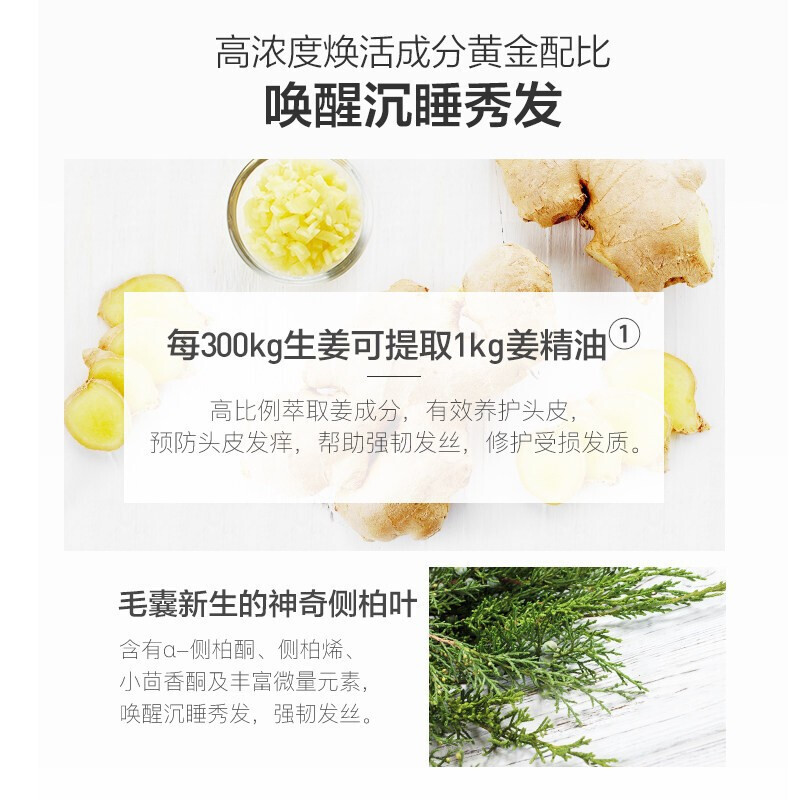阿芙(AFU)生姜洗发水洗发露脱发控油无硅油防干枯毛躁 强健发根 洗发水+护发素500ml*2