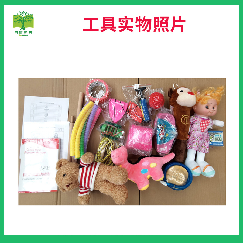 有树 YSXL-GMFM01 GMFM88项儿童粗大运动功能发展能力评估减压工具箱早教教具高清大图