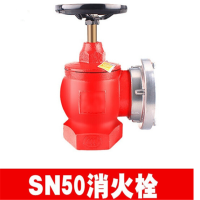 室内消火栓SN65