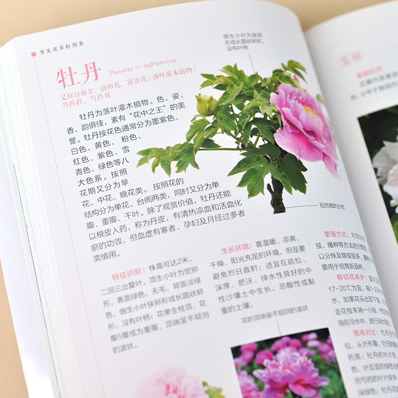 [醉染正版]常见花草轻图鉴付彦荣精选170多种花草近1000幅彩图生物植物百科全书园艺素材大全书籍青少年课外科普读物花语高清大图