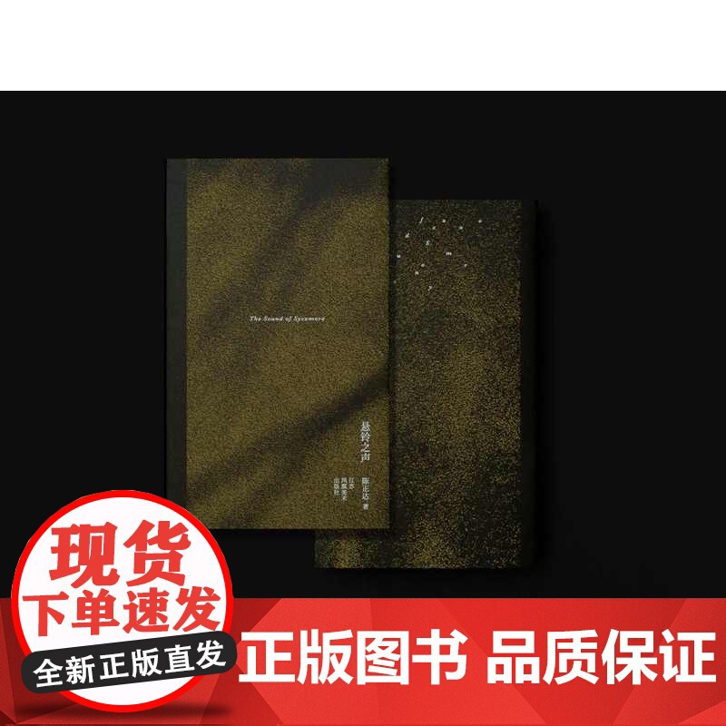 悬铃之声 陈正达 著 “中国最美的书”设计奖获得者 曲闵民&amp;蒋茜 操刀设计 设计师随笔高清大图