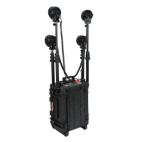 立华王(LihuaKing) LH5300D 4*40W、IP65、、电压DC12V