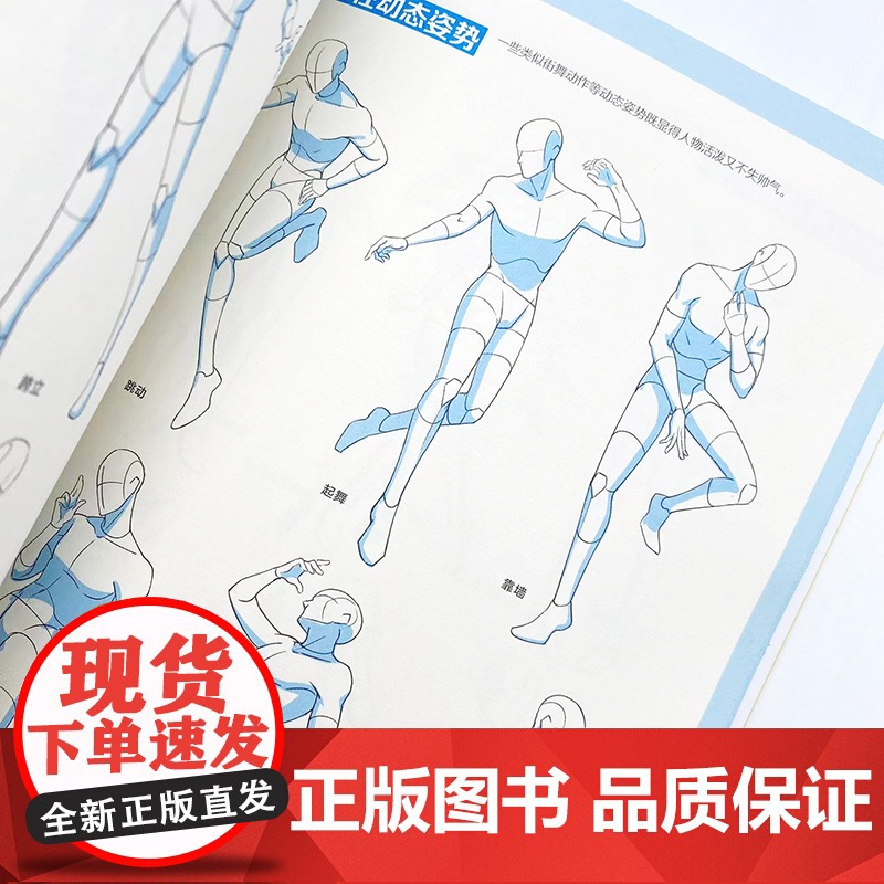 [单人篇]动态集 二次元动漫人体素材 动漫人体结构动态临摹练习册漫画人物绘画形体构造临摹画册漫画手绘本描摹本高清大图