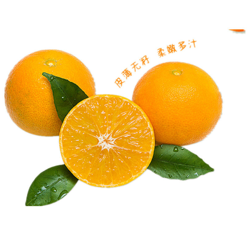 [鲜贝达]爱媛38号果冻橙 新鲜水果 橙子4.5斤装(60-65mm)橙子 维C VC高清大图