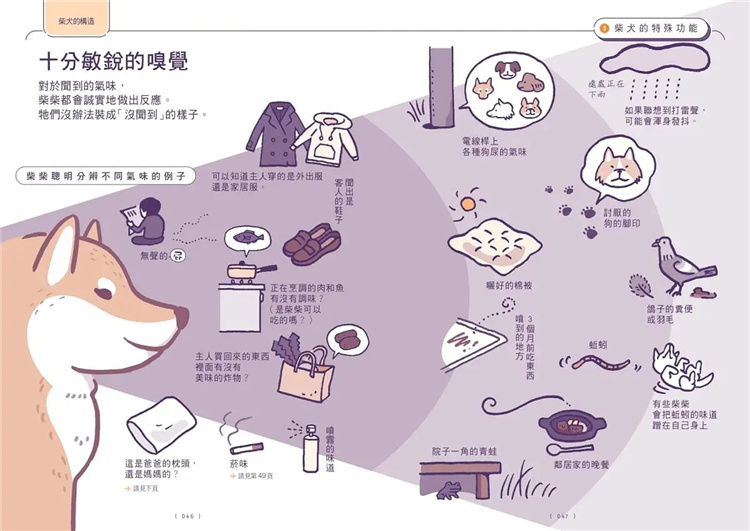 [正版] 柴友!跟柴柴心意相通的「柴犬使用手册」 22 影山直美 一起来出版 进口原版高清大图