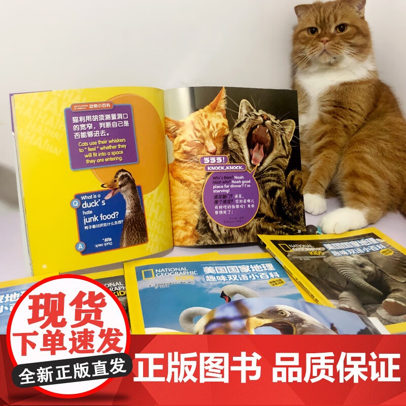 美国国家地理趣味小百科 中英文双语读物(套装共6册)高清大图