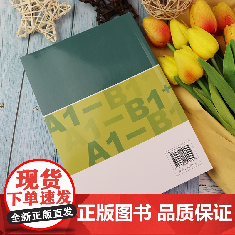 正版 德语分类词汇大全A1-B1+ 德英汉对照 海科 克吕格贝尔编 德英汉词汇 德语单词 德语工具书 同济大学出版社9高清大图