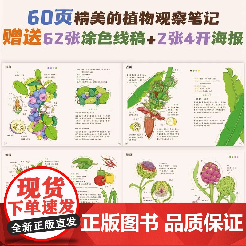 植物观察笔记动物果蔬观察笔记少儿科普百科全书儿童大百科小学生兴趣培养思维观察训练书籍名校学生做自然观察笔记高清大图