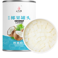 汇尔康(HR) 新鲜糖水椰果罐头425克/罐 水果罐头方便速食休闲零食整箱即食水果捞