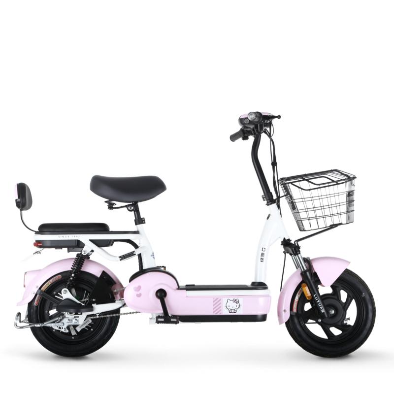 绿源新国标电动自行车女士48v锂电池电瓶车fbe成人踏板代步电动车雪山