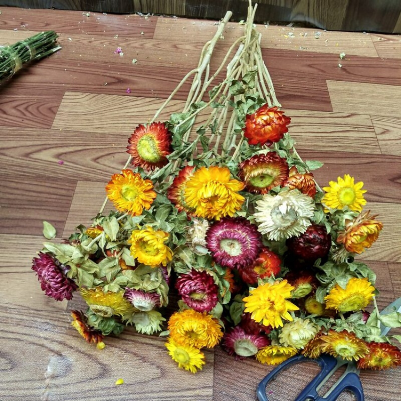 50小雏菊云南天然干花花束家居摆设装饰客厅落地干枝插花饰品(花篮+叶子枝50个花头)干花包