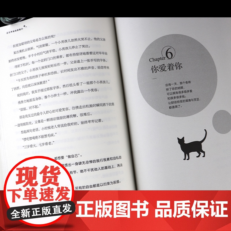 这世界偷偷爱着你(全新修订版,新增2万字,附赠精美书签) 辉姑娘 天地出版社 正版书籍高清大图