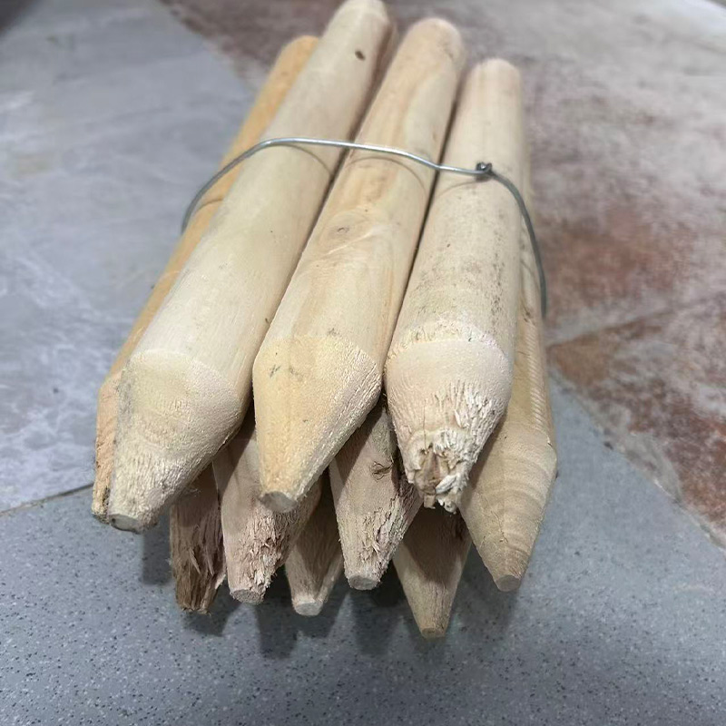 详火鸟 测量木桩 根高清大图