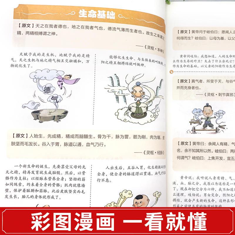 [2册]黄帝内经+神农本草经 [正版]黄帝内经漫画图解书籍漫画讲透皇帝内经白话文彩图儿童漫画版四季二十四节气养生大全书籍