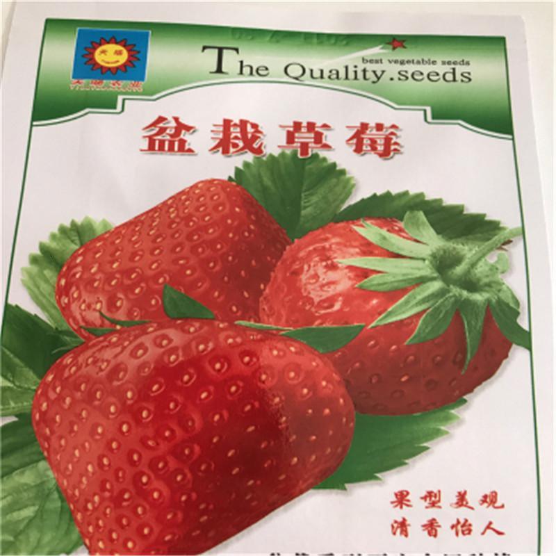 子暄园艺用品盆栽奶油莓种子白莓种子易种阳台盆栽蔬菜种子春秋冬四季播种盆栽红草莓种子原装0粒左右 价格图片品牌报价 苏宁易购芃畔花卉园艺专营店