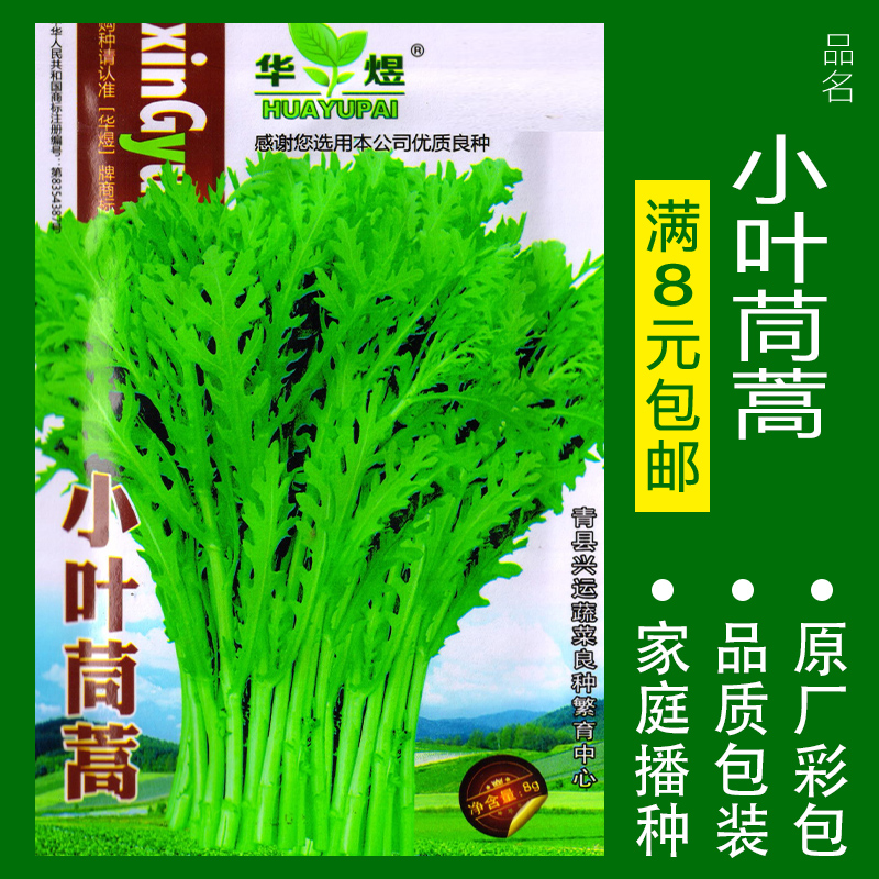 蔬菜种子四季播盆栽番茄黄瓜辣椒西瓜籽孑大全罗卜蕃茄苏州青黄心 小叶茼蒿约800粒 均码
