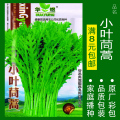 蔬菜种子四季播盆栽番茄黄瓜辣椒西瓜籽孑大全罗卜蕃茄苏州青苏番 均码 小叶茼蒿约800粒