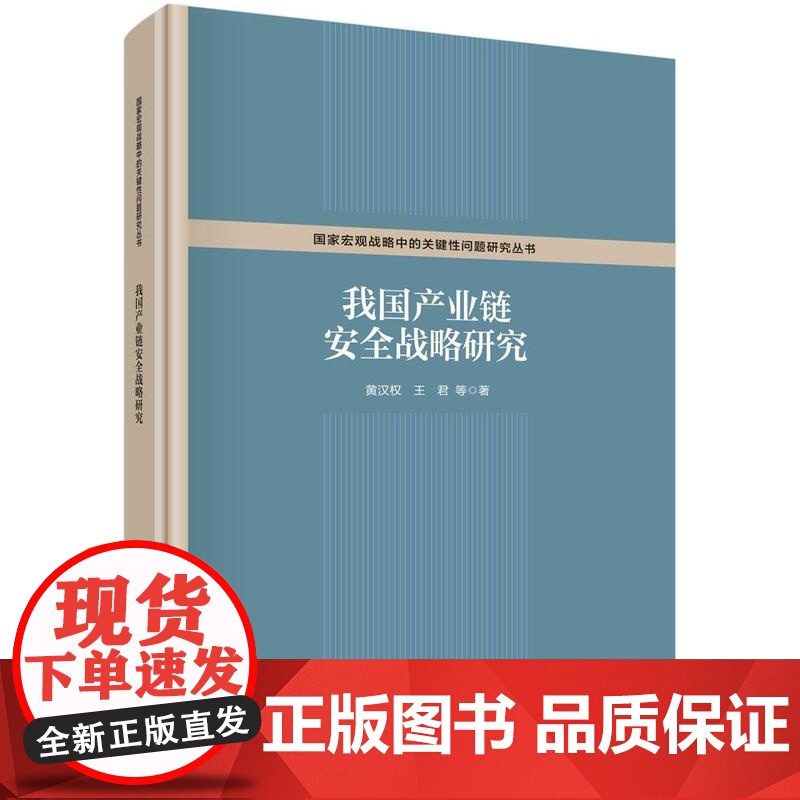 [按需印刷]我国产业链安全战略研究高清大图