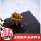禁色(三岛由纪夫作品系列精装) 正版图书籍 上海译文出版社 世纪出版