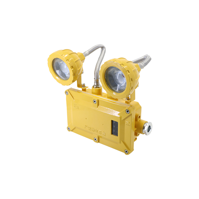 简工智能 JG-ZFZD-E6W GJ 2×3W IP65 220V LED光源 5500K 应急照明灯(单位:盏)黄色