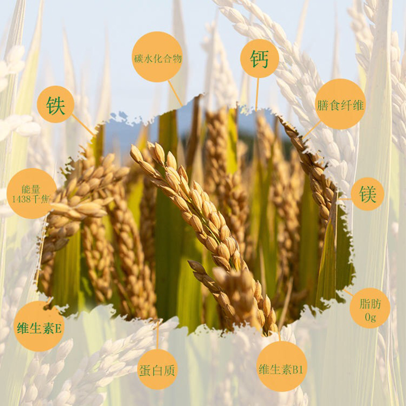 中绿五常大米2.5kg