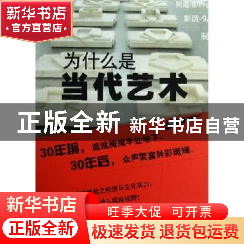 正版 为什么是当代艺术 浦捷著 上海大学出版社 9787567105942 书高清大图