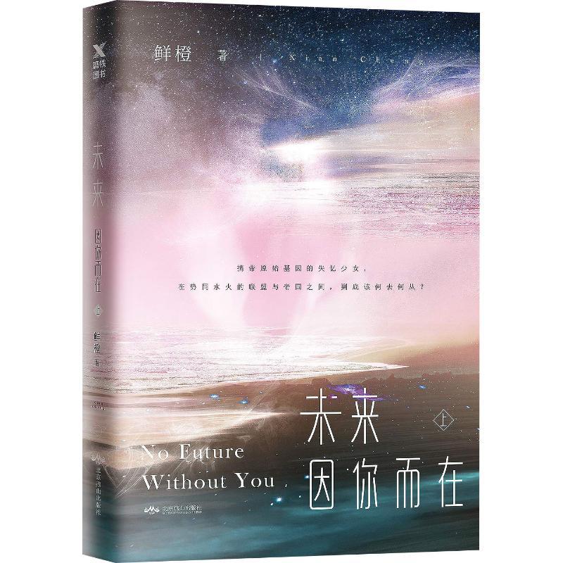 未来 因你而在 上 鲜橙 著 文学 文轩网