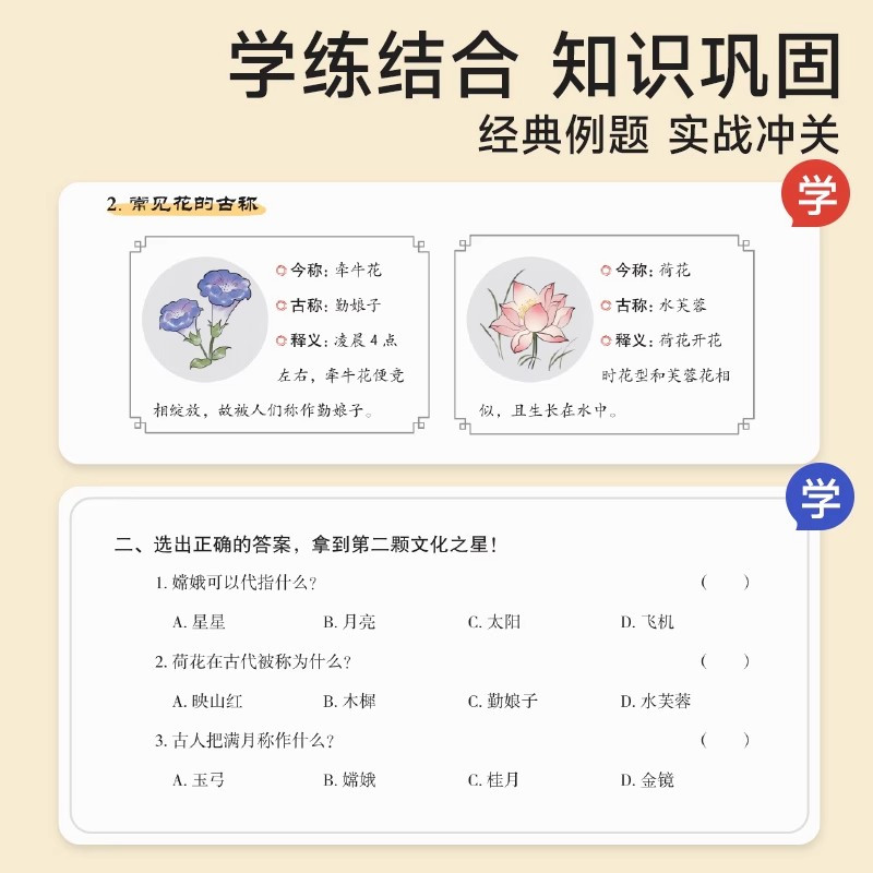 [全6册]文学常识套装2册+60天优美句段4册 小学通用 [正版] 2024小学文学常识一本全小学生1-6年级语文基础知