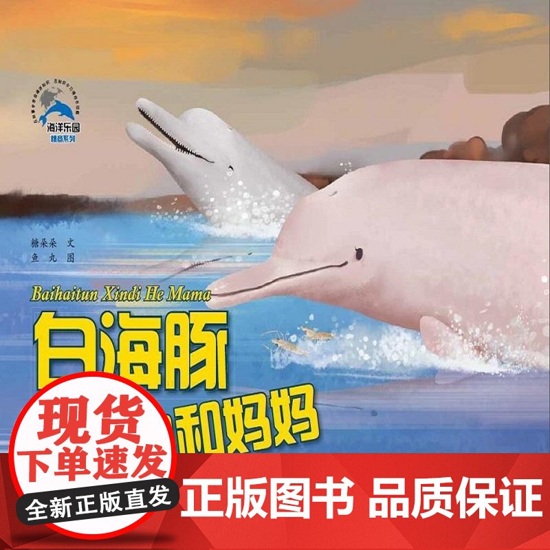 白海豚辛迪和妈妈高清大图