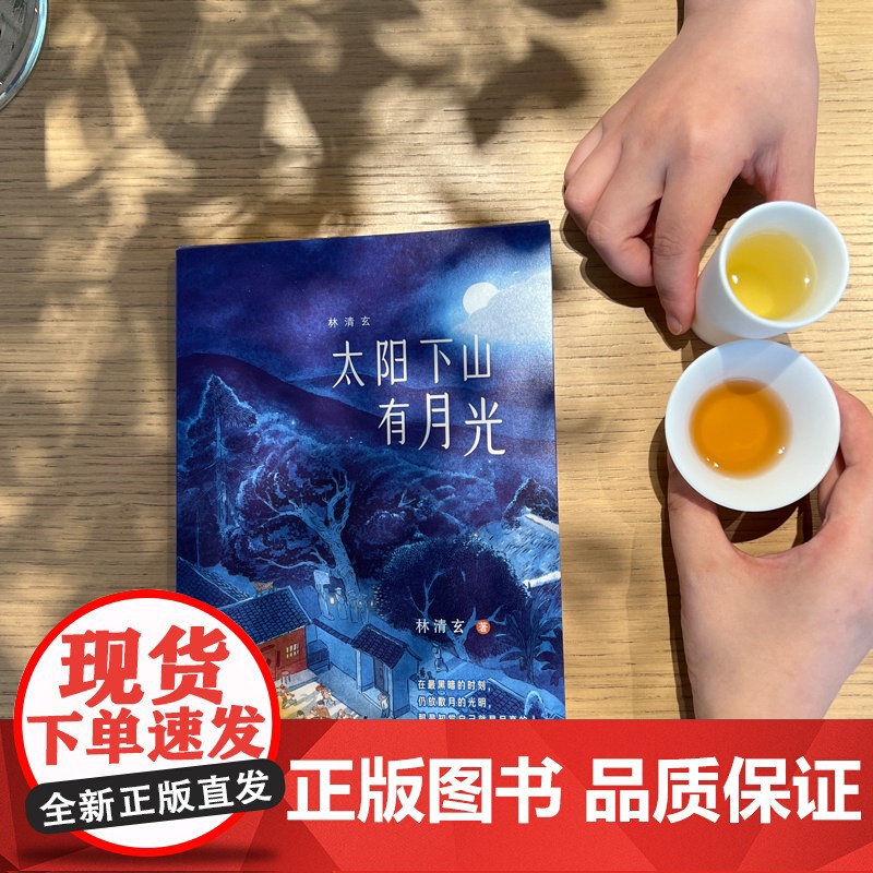 太阳下山有月光 林清玄著 林清玄诞辰70周年全彩典藏 正版书籍 中国致公出版社 人民日报 人民网 人民日报公众号反复纪念高清大图