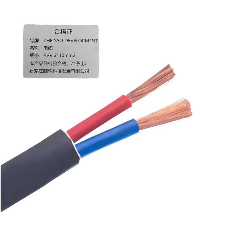 ZHE YAO DEVELOPMENT 电缆 RVV2*10mm2 米高清大图
