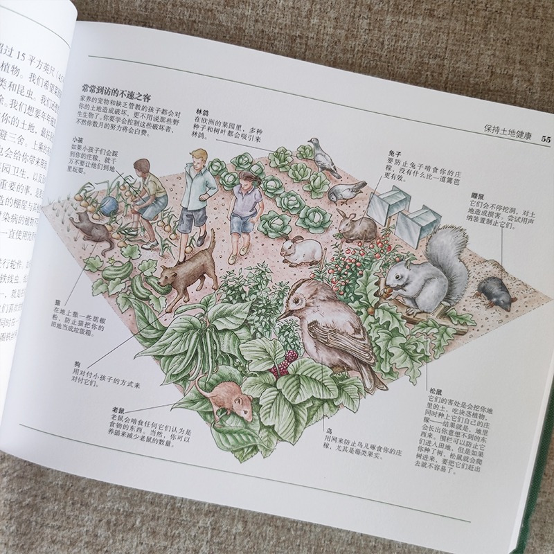 [正版]2022年新修订版 自给自足生活简明指南 种植常见农作物蔬菜畜牧养殖泥瓦木工房屋建筑食物酿酒末日生存技能田园农场