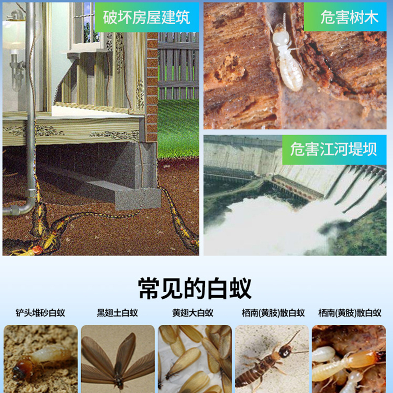 德国拜耳特密德白蚁药全窝端喷雾剂灭杀白蚂蚁杀虫剂家用装修防治园林室外室内送喷壶100ml