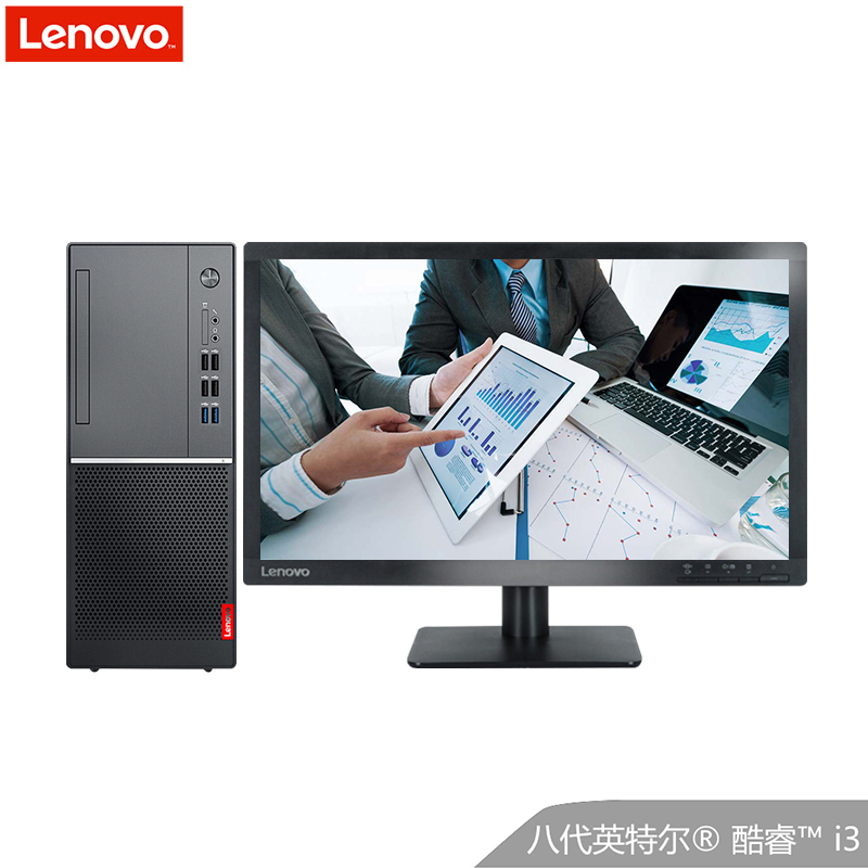 联想(Lenovo)扬天M6201d 八代英特尔® 酷睿™I3 台式主机19.5英寸显示器(i3-8100 4G 500G 集显 无光驱 W10)